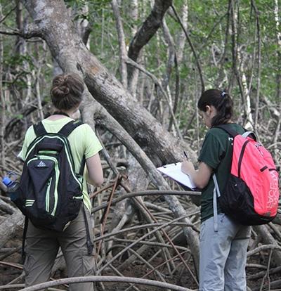 RIC students in field for environmental studies